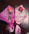 /album/nuestros-productos/a1896872-725065460873596-6104414821751829075-n-jpg/